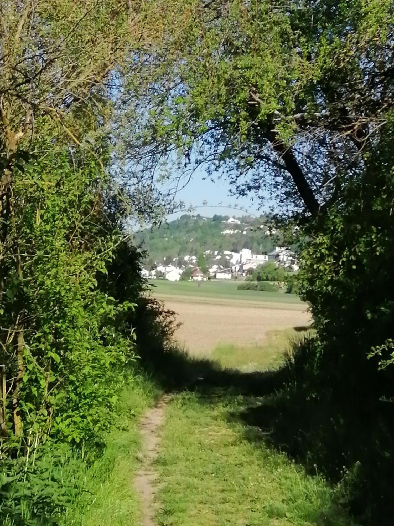 Ferienwohnungen Stark Kelheim Extérieur photo